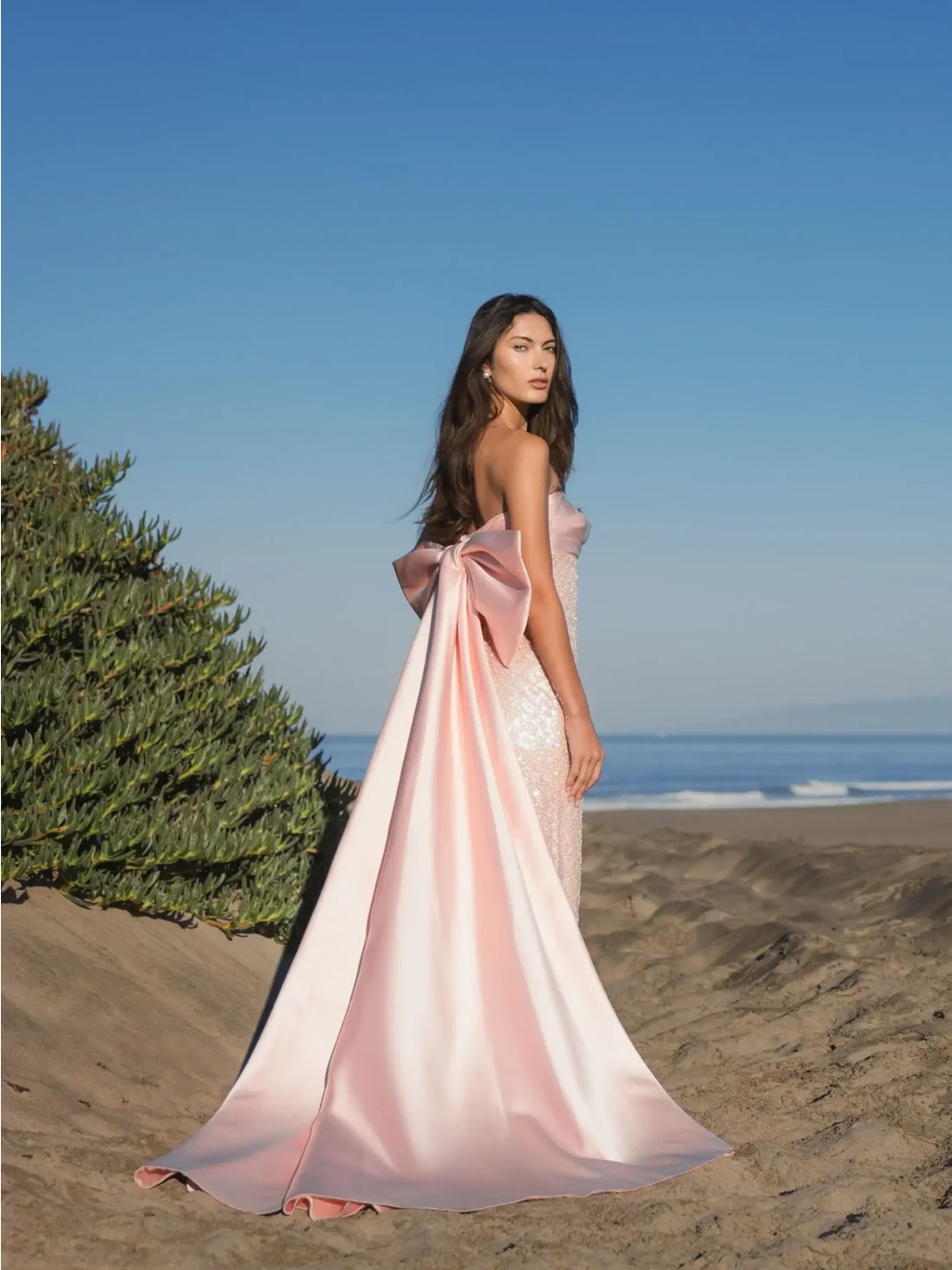 Mac Duggal Blush Strapless Embellished Gown With Back Bow Detail Size4 $998